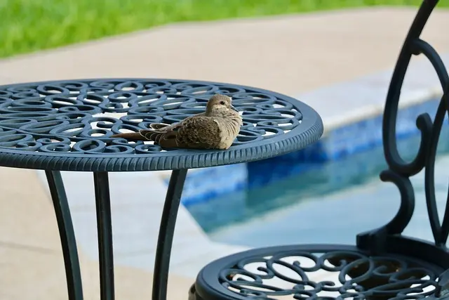 Comment choisir des meubles pratiques pour un coin jardin fonctionnel