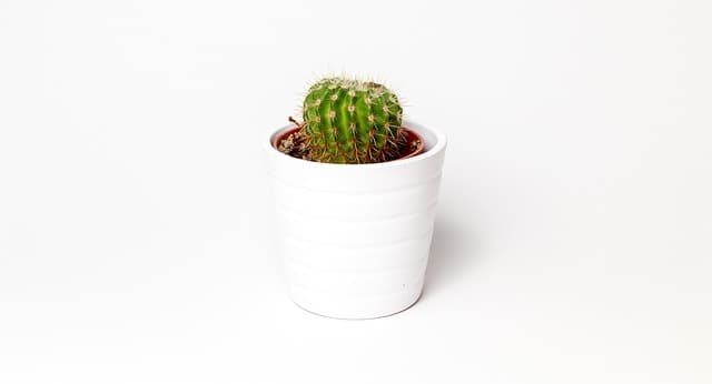 10 Solutions de Rangement Ingénieuses pour Espaces Réduits