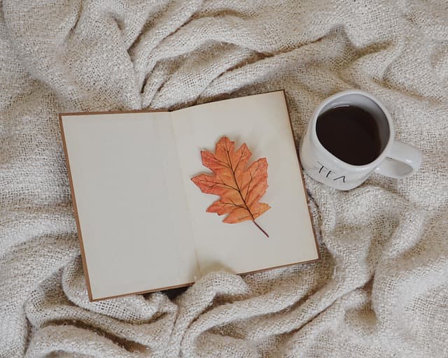 Comment choisir des meubles pratiques pour un coin lecture